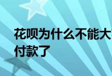 花呗为什么不能大额扫 花呗为什么不能大额付款了