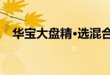 华宝大盘精·选混合240011重仓股有哪些