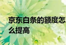 京东白条的额度怎么变现 京东白条的额度怎么提高