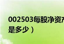 002503每股净资产（搜于特002503净资产是多少）