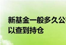 新基金一般多久公布持仓 新基金成立多久可以查到持仓