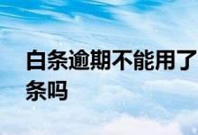 白条逾期不能用了 白条逾期了还能继续用白条吗