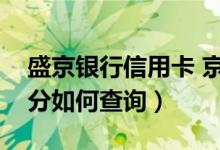盛京银行信用卡 京东（盛京银行信用卡的积分如何查询）