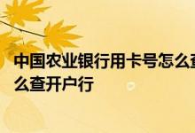 中国农业银行用卡号怎么查开户行 中国农业银行通过卡号怎么查开户行