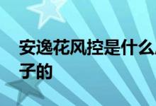 安逸花风控是什么原因 安逸花风控是什么样子的