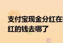 支付宝现金分红在哪里可看到 支付宝现金分红的钱去哪了