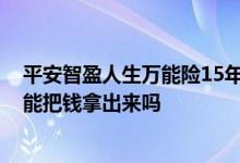 平安智盈人生万能险15年返多少钱 智盈人生万能险10年后能把钱拿出来吗