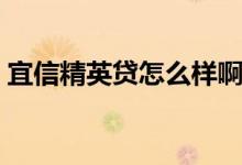 宜信精英贷怎么样啊（宜信精英贷怎么办理）