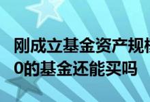 刚成立基金资产规模是0可以买吗 资产规模为0的基金还能买吗
