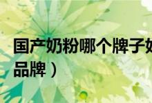 国产奶粉哪个牌子好（宝妈们可以选择这几个品牌）