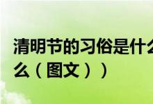 清明节的习俗是什么意思（清明节的习俗是什么（图文））