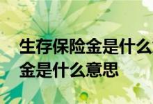 生存保险金是什么意思每年都给吗 生存保险金是什么意思