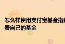 怎么样使用支付宝基金指数红绿灯 支付宝怎么用指数红绿灯看自己的基金