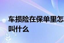 车损险在保单里怎么查看 车损险在保单全名叫什么