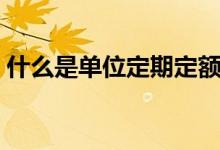 什么是单位定期定额（什么是单位定期存款）
