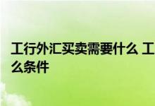 工行外汇买卖需要什么 工商银行：办理外汇买卖需要满足什么条件