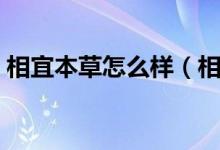 相宜本草怎么样（相宜本草的产品好不好用）