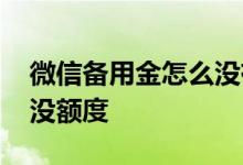 微信备用金怎么没有额度了 微信备用金怎么没额度