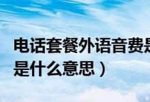 电话套餐外语音费是什么意思（套餐外语音费是什么意思）