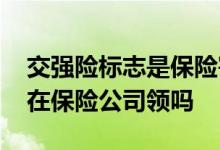 交强险标志是保险寄过来的吗 交强险标志是在保险公司领吗