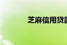 芝麻信用贷款（芝麻信用贷）