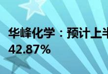华峰化学：预计上半年净利同比下降37.67%-42.87%