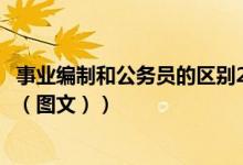 事业编制和公务员的区别2020年（事业编制和公务员的区别（图文））