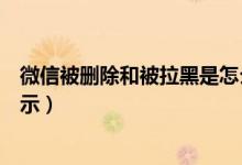 微信被删除和被拉黑是怎么显示（微信被删除显示和拉黑显示）