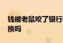 钱被老鼠咬了银行收不收 钱被老鼠咬了银行换吗