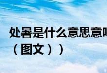 处暑是什么意思意味着什么（处暑是什么意思（图文））