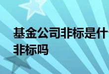 基金公司非标是什么意思 基金公司可以投资非标吗