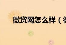 微贷网怎么样（微贷网怎么样安全吗）