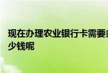 现在办理农业银行卡需要多少钱 请问办理农业银行卡需要多少钱呢