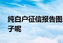 纯白户征信报告图片 纯白户征信报告什么样子呢