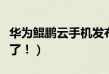 华为鲲鹏云手机发布（全球首款云智能手机来了！）