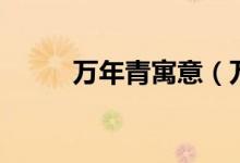 万年青寓意（万年青寓意是什么）