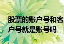 股票的账户号和客服号有啥区别 股票账户客户号就是账号吗