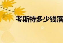 考斯特多少钱落地（考斯特多少钱）