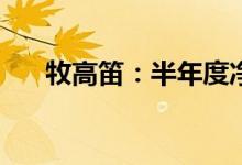 牧高笛：半年度净利润预增112%左右