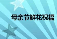 母亲节鲜花祝福（康乃馨多少钱一朵）