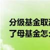 分级基金取消后母基金怎么办 分级基金取消了母基金怎么办