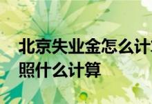 北京失业金怎么计算 北京失业保险金转移按照什么计算 