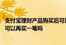 支付宝理财产品购买后可以撤销吗 支付宝买过的理财产品还可以再买一笔吗