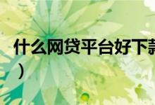 什么网贷平台好下款（哪个网贷平台最好下款）