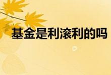 基金是利滚利的吗 基金是利滚利还是单利