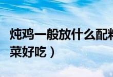 炖鸡一般放什么配料炖鸡（炖鸡一般放什么配菜好吃）