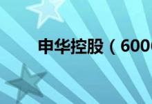 申华控股（600653）股本变动情况
