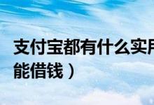 支付宝都有什么实用的功能（支付宝都有什么能借钱）
