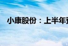 小康股份：上半年预亏16亿元到17.6亿元