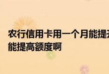 农行信用卡用一个月能提升额度吗 农行信用卡需要用多久才能提高额度啊